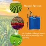 High Quality Weed Backpack Manual Sprayer 16L Brass Cylinder - Image 4