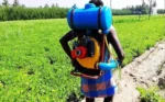 Agricultural Power Spray Machine - Image 3