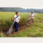Heavy Duty Petrol Brush Cutter, Grass Cutter with 52cc with Tiller Attachments - Image 3