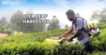 Tea Pruning Machine - Image 3