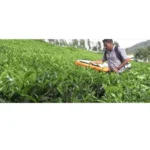 Heavy Duty Tea Plücker Machine - 4 Stroke 1.2hp - Image 3